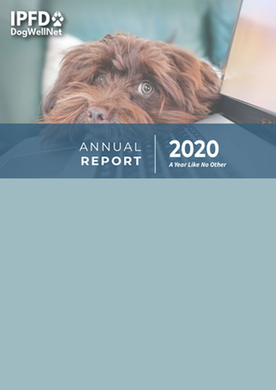 Annual Report 2020 A Year Like No Other Report Cover
