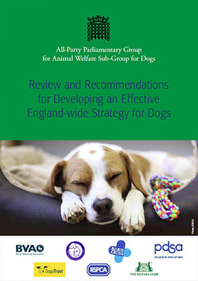 APGAW Review and Recommendations for Developing an Effective England-wide Strategy for Dogs Report Cover