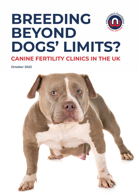 Breeding Beyond Dogs' Limits - Canine Fretliity Clinics in the UK Report Cover