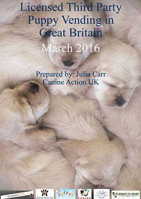 Julia Carr Canine Action UK Licensed Third Party Puppy Vending in Great Britain Report Cover