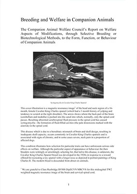 CAWC Breeding and Welfare in Companion Animals CAWC Breeding and Welfare in Companion Animals Report Cover