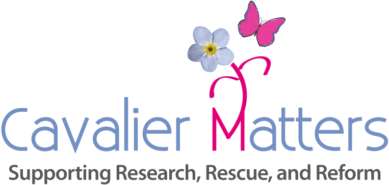 Cavalier Matters Logo