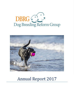 DBRG Annual Report 2017 DBRG Annual Report 2017 Report Cover
