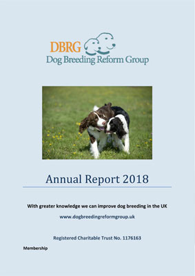 DBRG Annual Report 2018 Cover