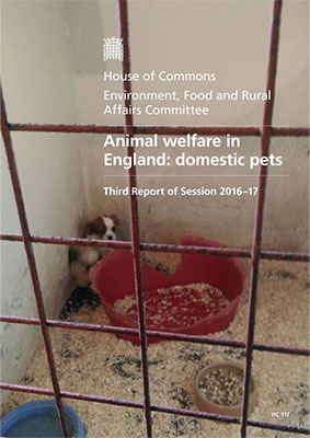 Environment, Food and Rural Affairs Committee Animal Welfare in England: Domestic Pets Report Cover