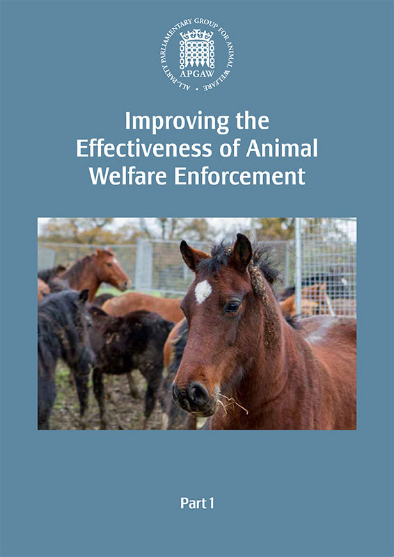Improving the Effectiveness of Animal Welfare Enforcement APGAW Report Cover
