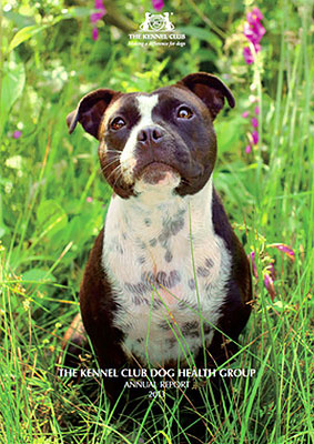 The Kennel Club Dog Health Group Annual Report 2013 The Kennel Club Dog Health Group Annual Report 2013 Report Cover
