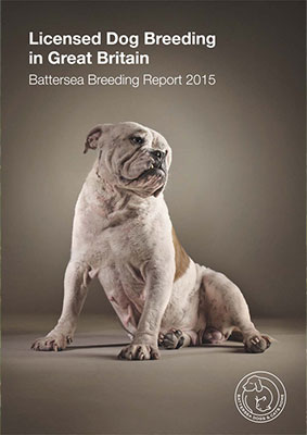 Licensed Dog Breeding in Great Britain Battersea Breeding 2015 Report Cover