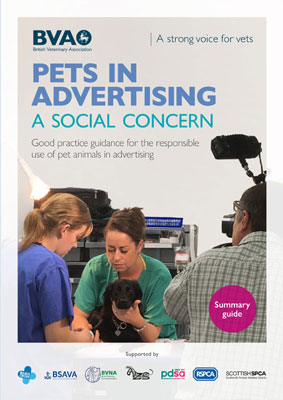 Pets in Advertising Report Cover