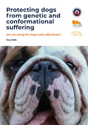 Protecting Dogs from Genetic and Conformational Suffering Report Cover