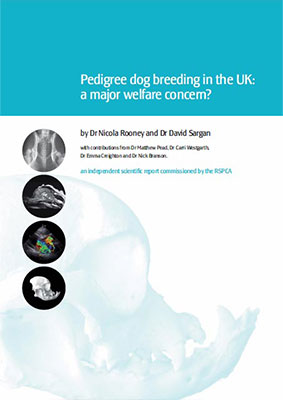 Dr Nicola Rooney & Dr David Sargan - Pedigree Dog Breeding in the UK: a Major Welfare Concern? Dr Nicola Rooney & Dr David Sargan - Pedigree Dog Breeding in the UK: a Major Welfare Concern? Report Cover