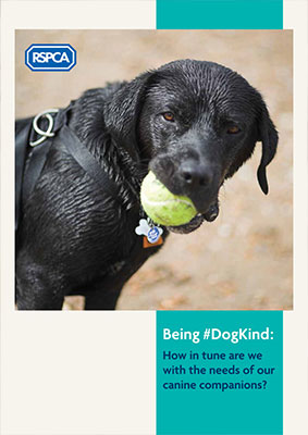 RSPCA Being #DogKind RSPCA Being #DogKind Report Cover