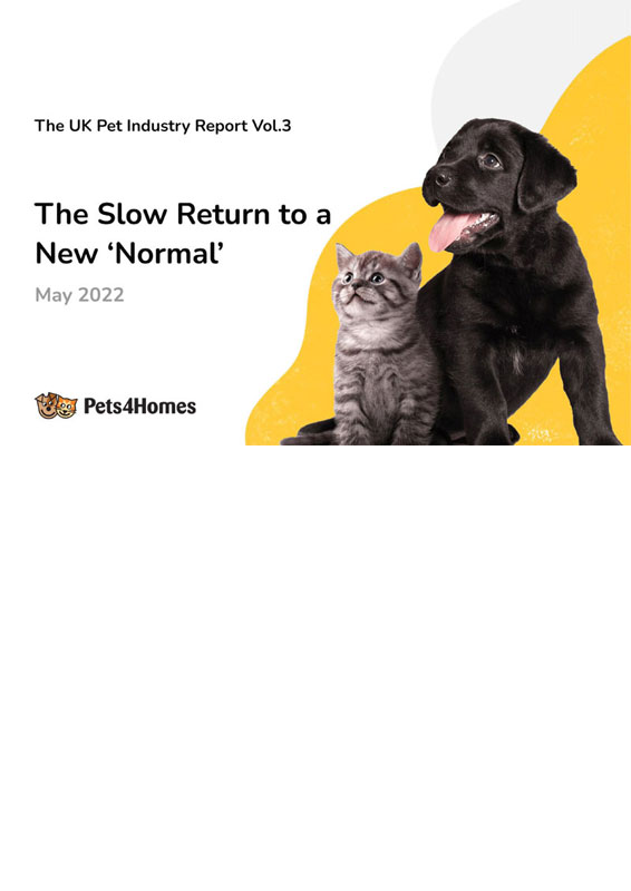 The Slow Return to Normal Report Cover