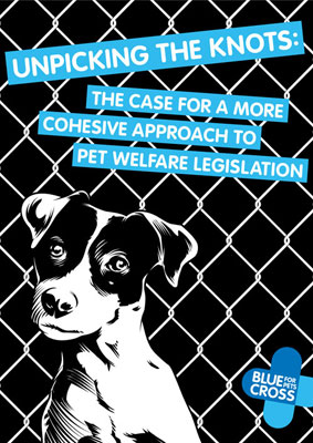The Blue Cross Unpicking the Knots Report Cover