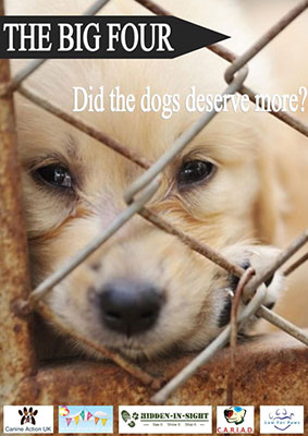 The Big Four Did the Dogs Deserve More? Report Cover